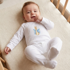 KW108: Baby DTF Printed All In one Sleepsuit- Blue Bunny Rabbit (3-12 months)
